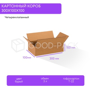 Картонный короб 300x100x100, Т-22В, 0201